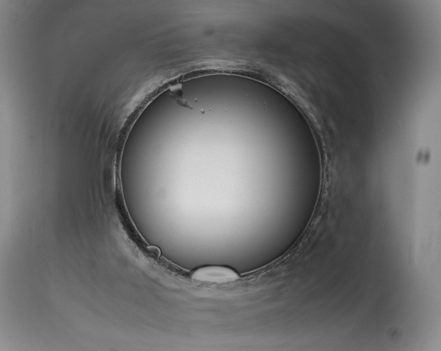 X0000114010011200910021354