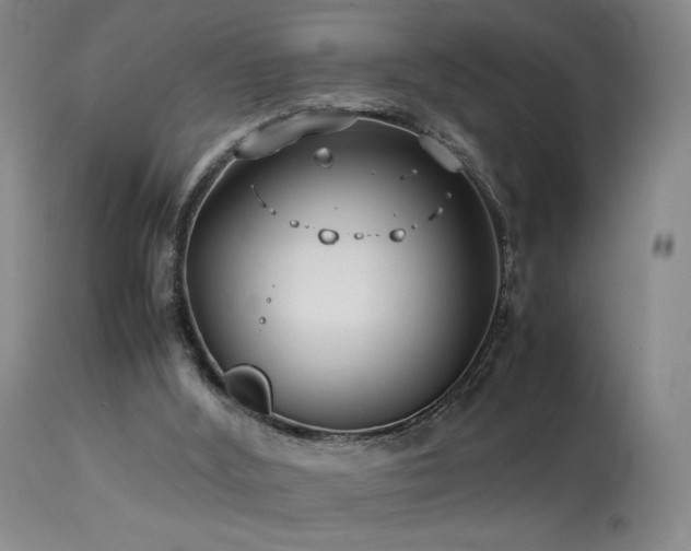 X0000114010012200910021354