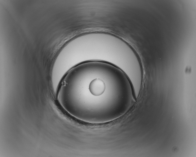 X0000114010013200910021354