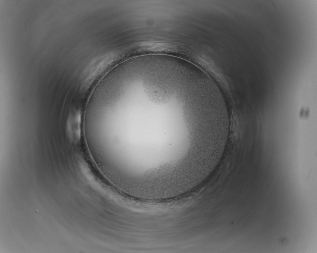 X0000114010014200910021354
