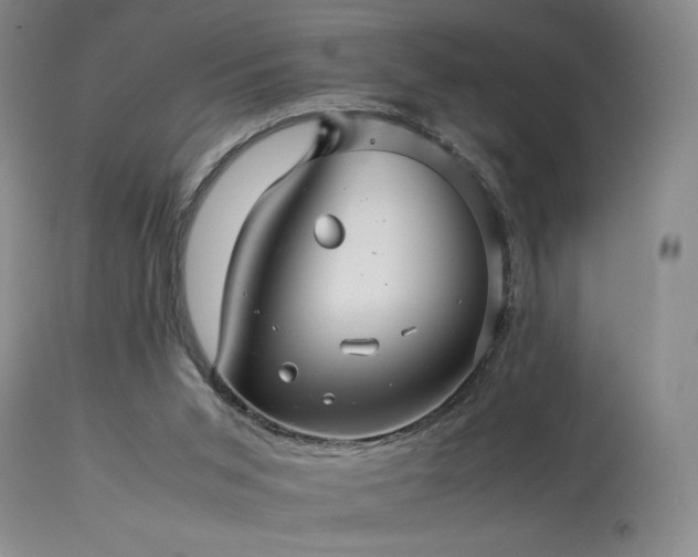 X0000114010015200910021354