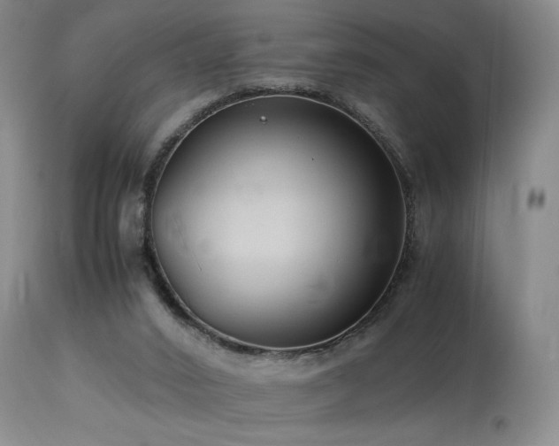 X0000114010016200910021354