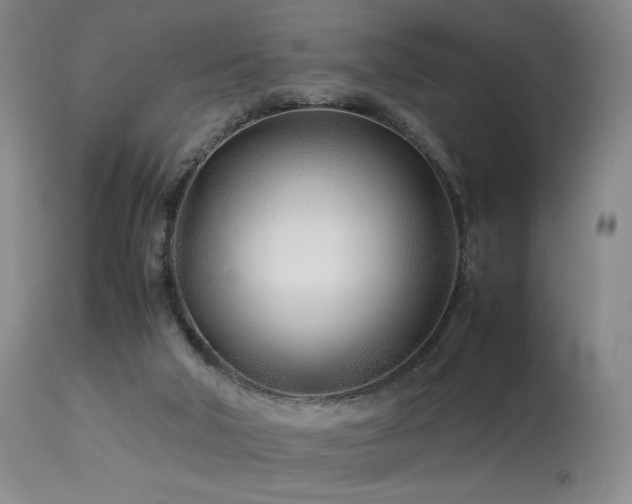 X0000114010018200910021354