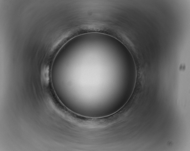 X0000114010020200910021354
