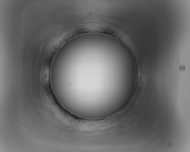 X0000114010021200910021354