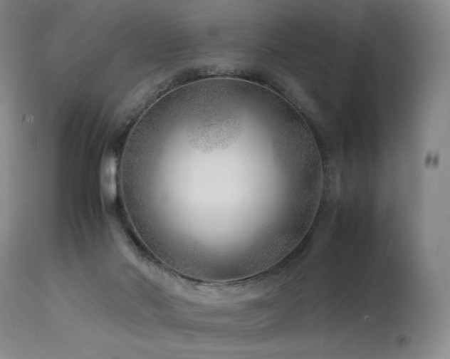 X0000114010022200910021354