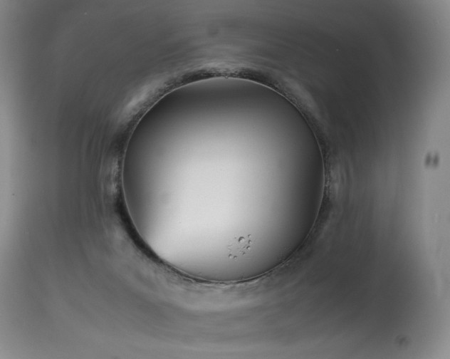 X0000114010023200910021354