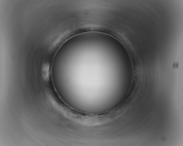 X0000114010024200910021354