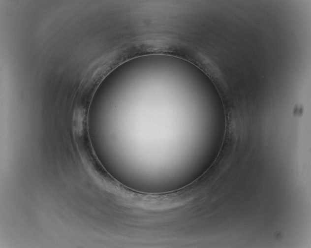 X0000114010026200910021354