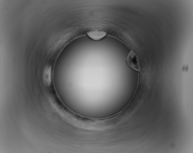 X0000114010028200910021354