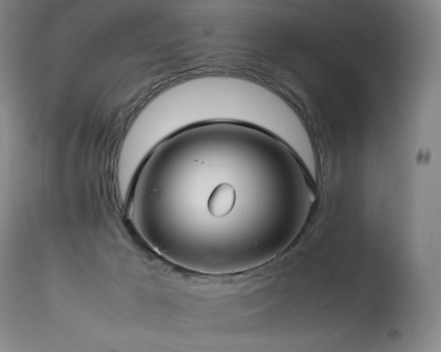X0000114010029200910021354