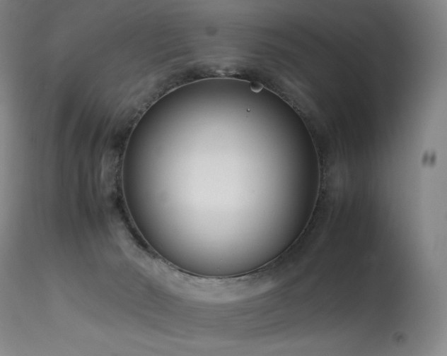 X0000114010030200910021354