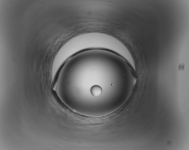 X0000114010031200910021354
