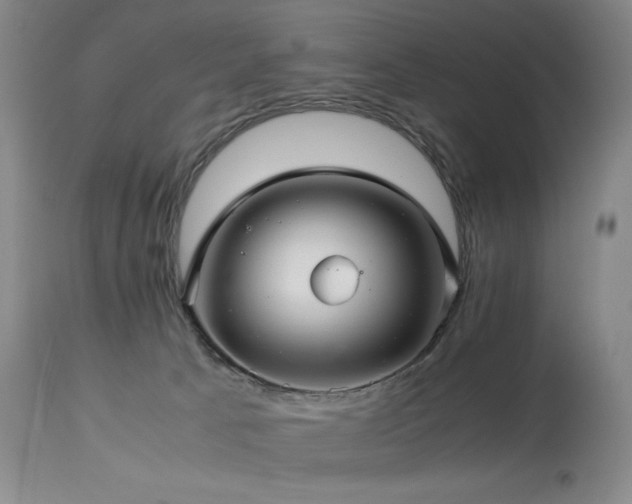 X0000114010033200910021354