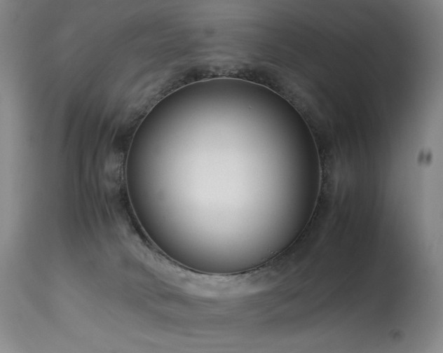X0000114010034200910021354