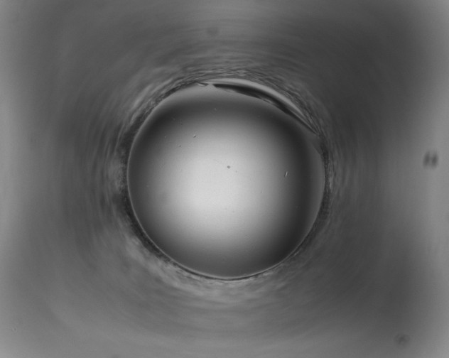 X0000114010035200910021354