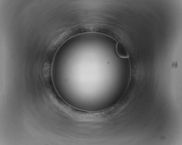 X0000114010036200910021354