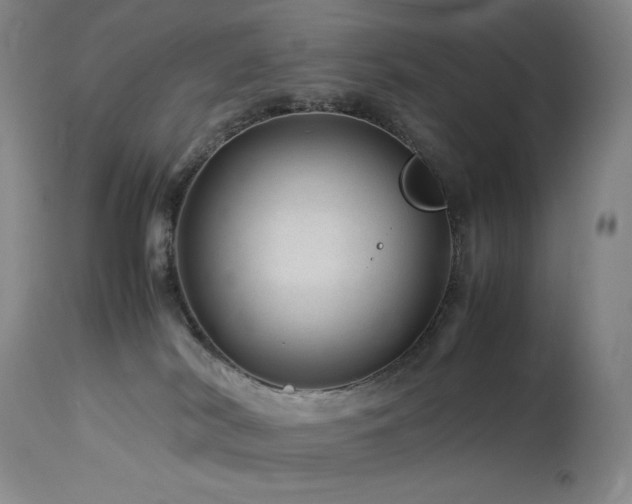 X0000114010038200910021354