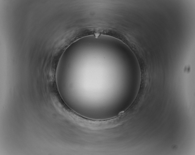 X0000114010039200910021354