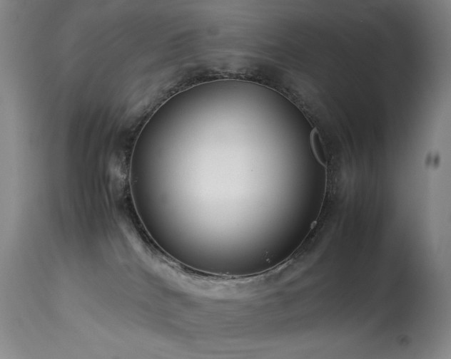 X0000114010040200910021354
