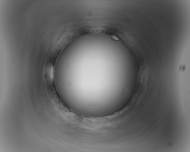 X0000114010041200910021354