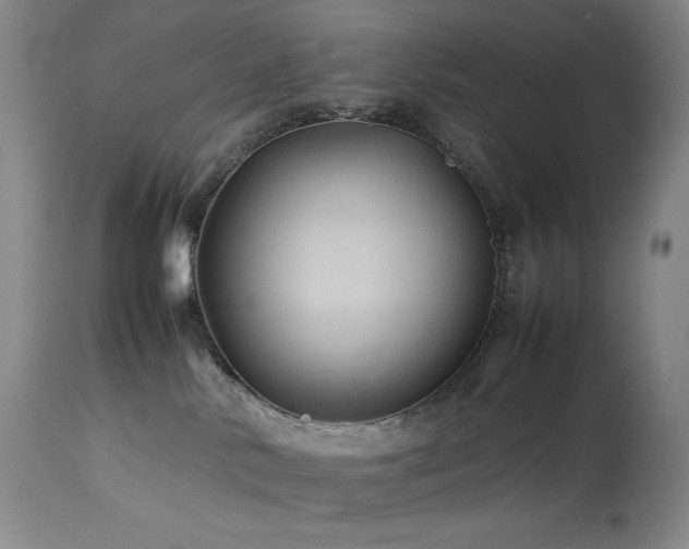 X0000114010042200910021354