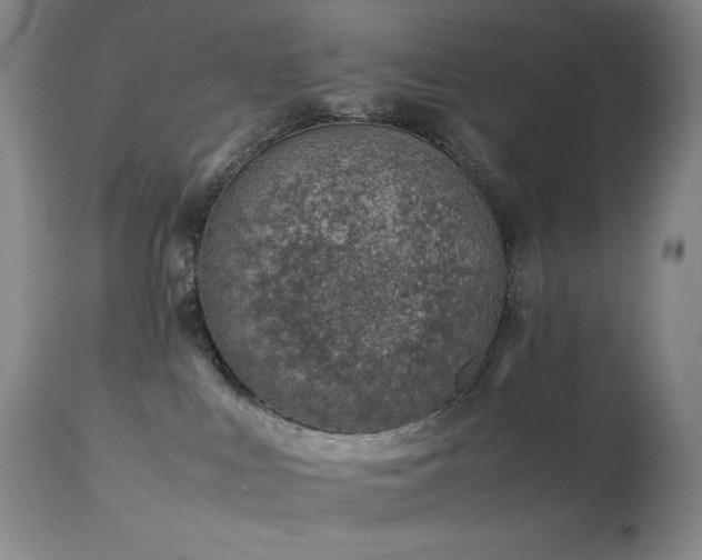 X0000114010043200910021354
