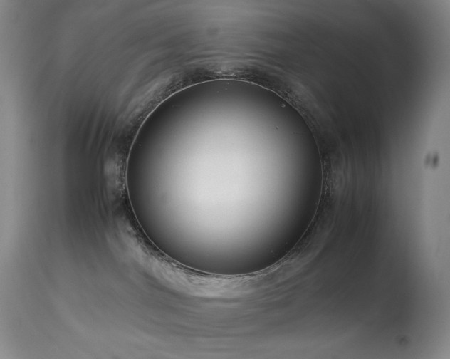 X0000114010044200910021354