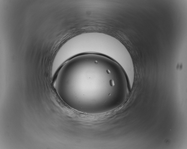 X0000114010045200910021354