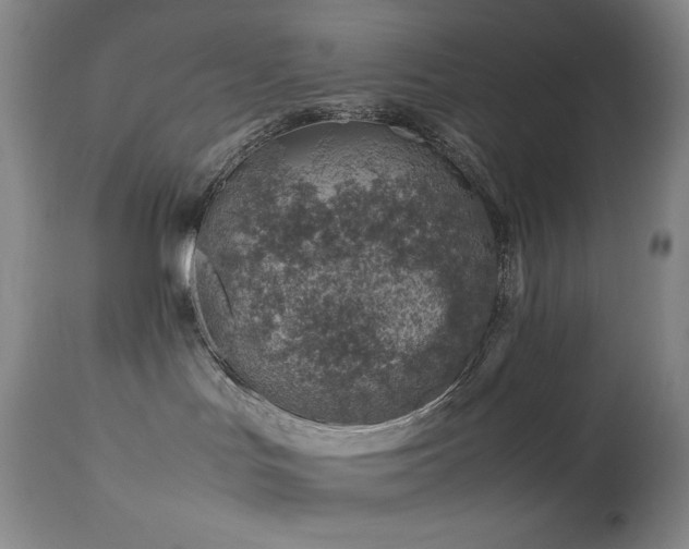 X0000114010047200910021354