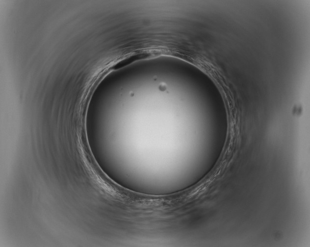 X0000114010049200910021353