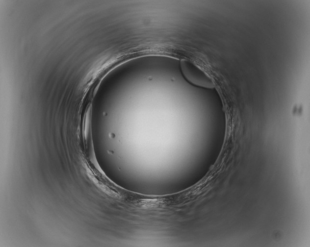 X0000114010050200910021353