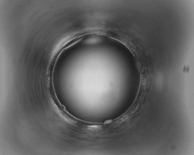 X0000114010053200910021353