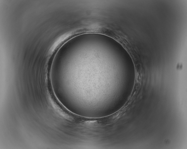 X0000114010054200910021353