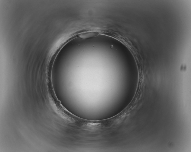 X0000114010055200910021353