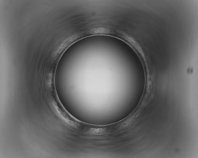 X0000114010057200910021353