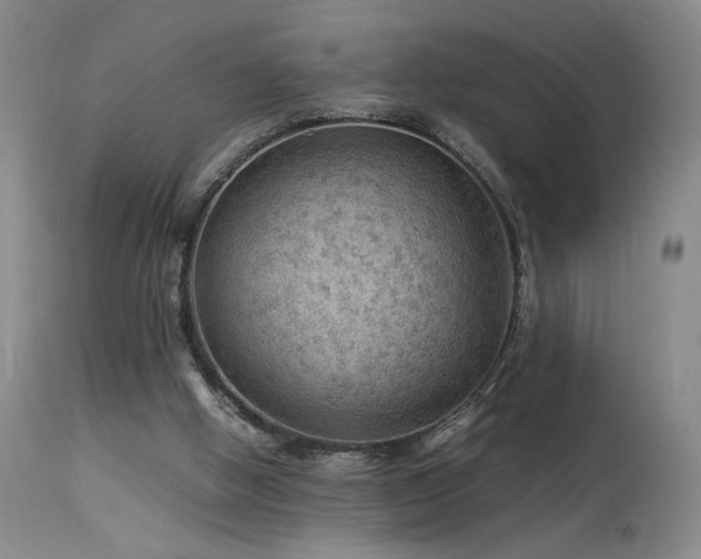 X0000114010058200910021353