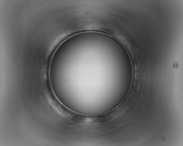 X0000114010060200910021353