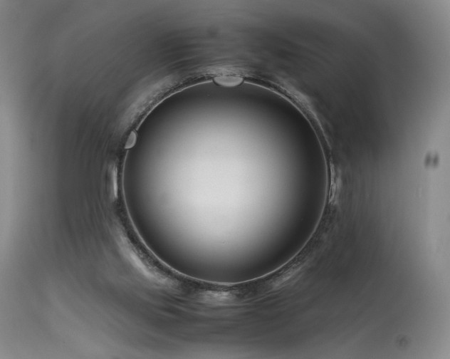 X0000114010061200910021353