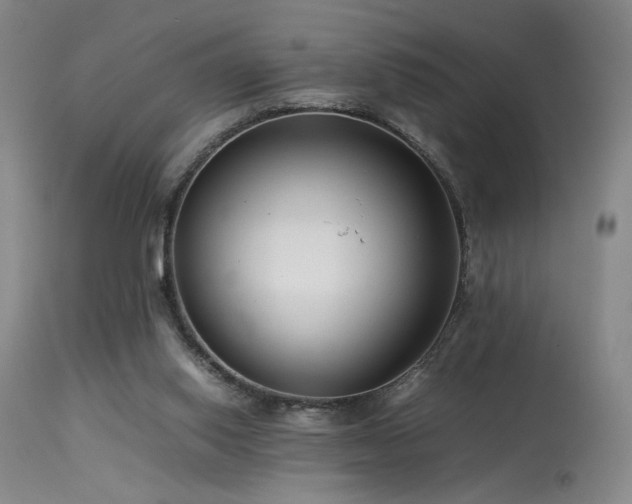 X0000114010062200910021353