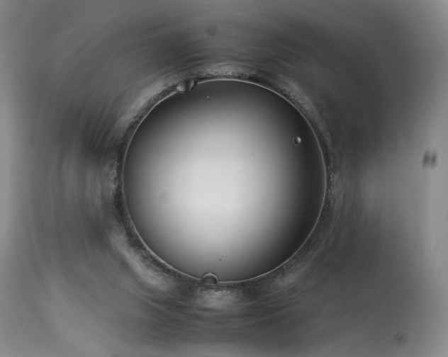 X0000114010063200910021353