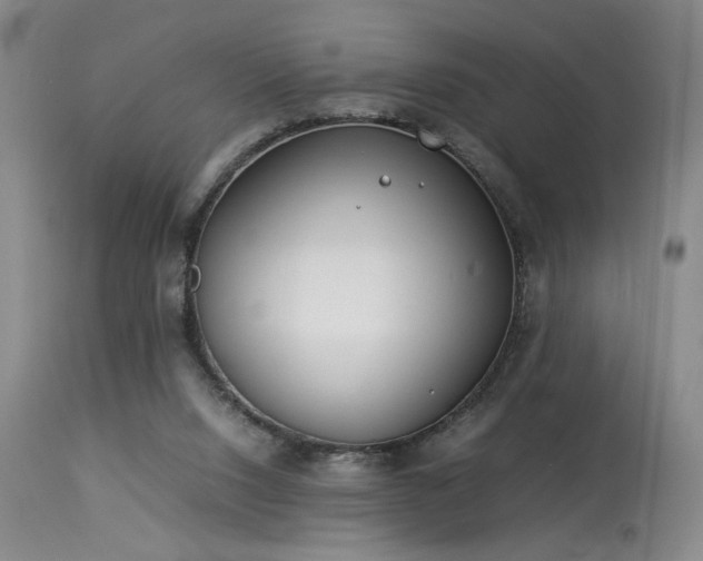 X0000114010064200910021353