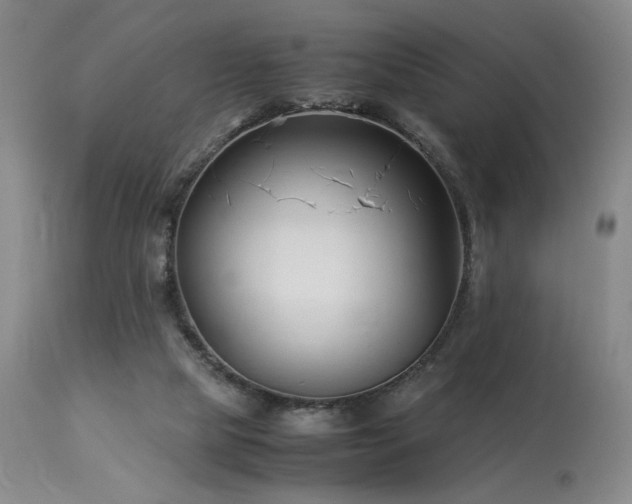 X0000114010065200910021353