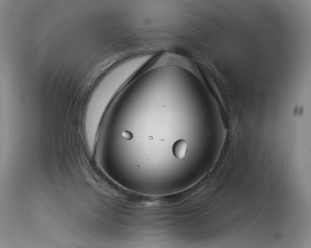 X0000114010068200910021353