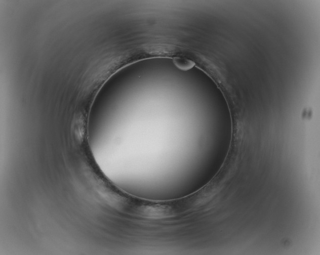 X0000114010069200910021353