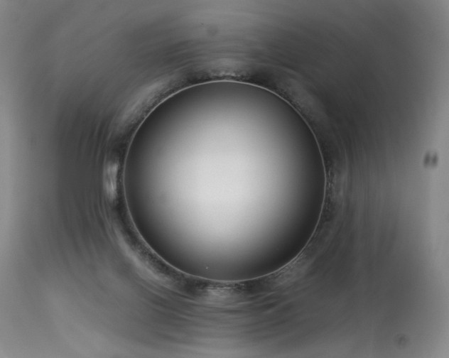 X0000114010070200910021353