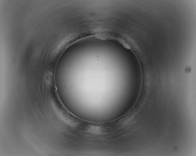X0000114010071200910021353