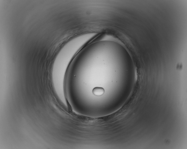 X0000114010072200910021353