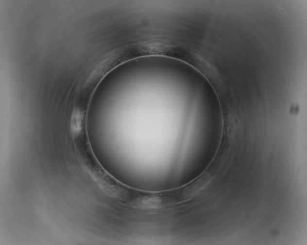 X0000114010075200910021353