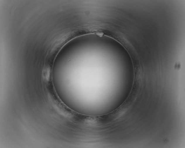 X0000114010076200910021353